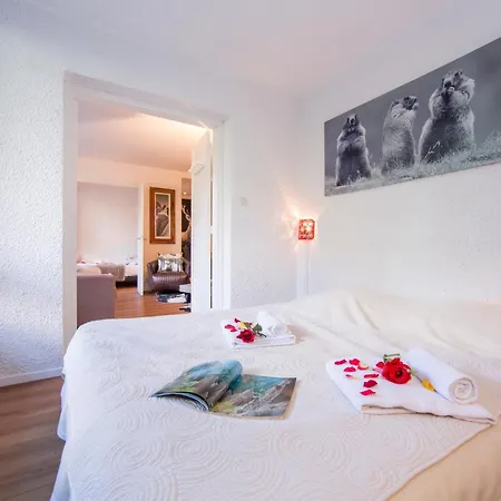 Appartement Androsace 42 Happy Chamonix