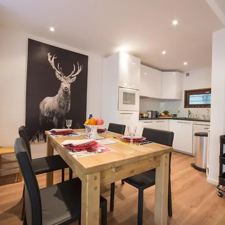 Androsace 42 Happy Appartement Chamonix