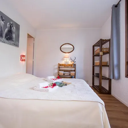 Apartamento Androsace 42 Happy Chamonix