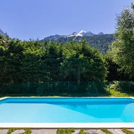 Androsace 42 Happy *