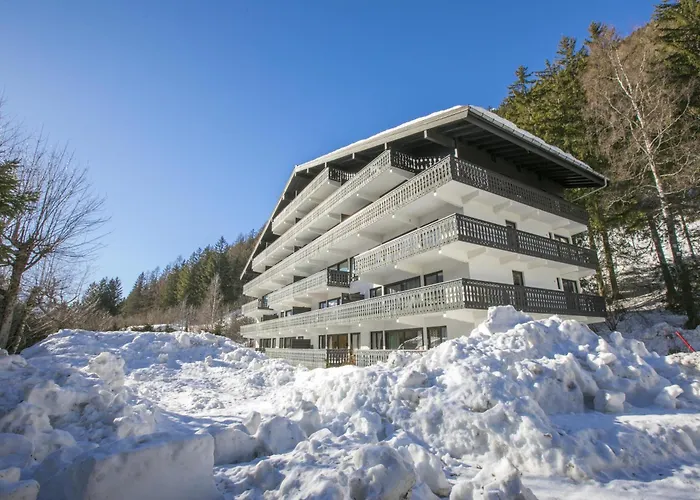 Androsace 42 Happy Apartmán Chamonix