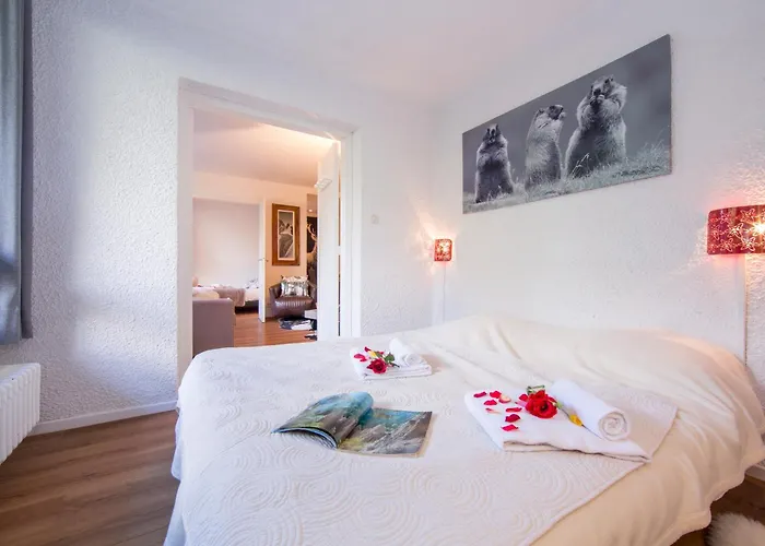 Androsace 42 Happy * Chamonix