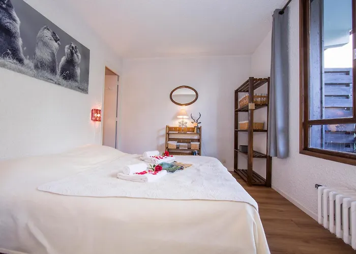 Apartamento Androsace 42 Happy Chamonix
