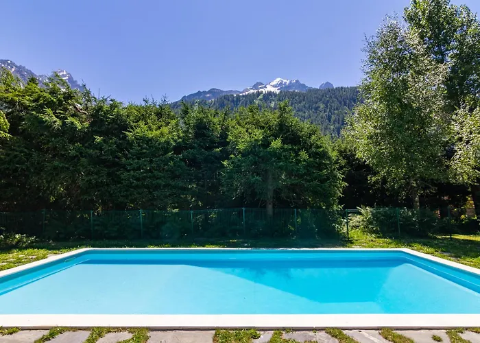 Androsace 42 Happy *