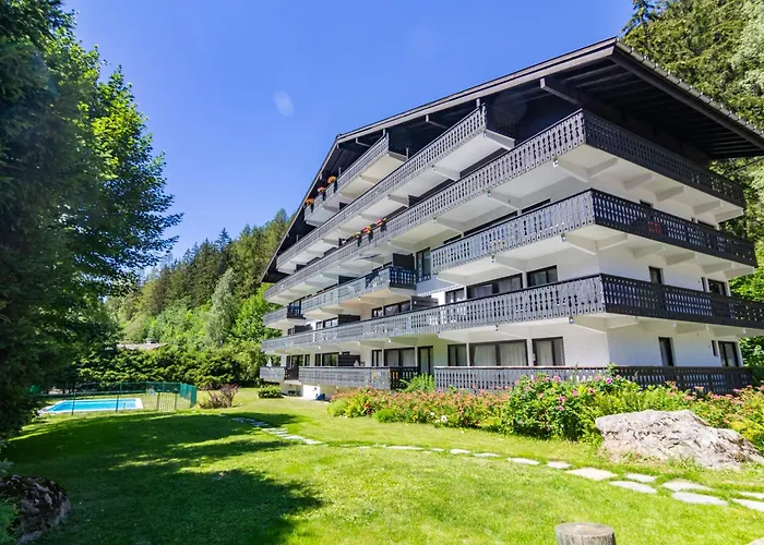 Androsace 42 Happy * Chamonix