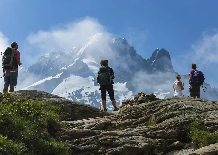 Androsace 42 Happy *