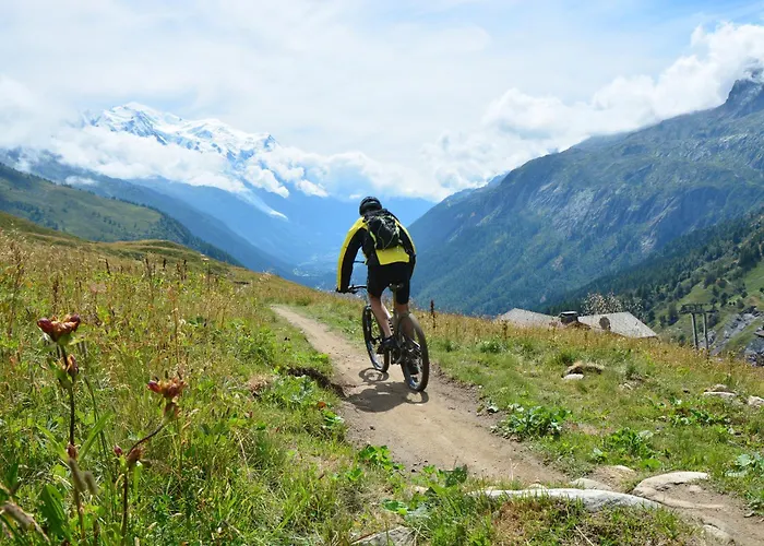 Apartmán Androsace 42 Happy *